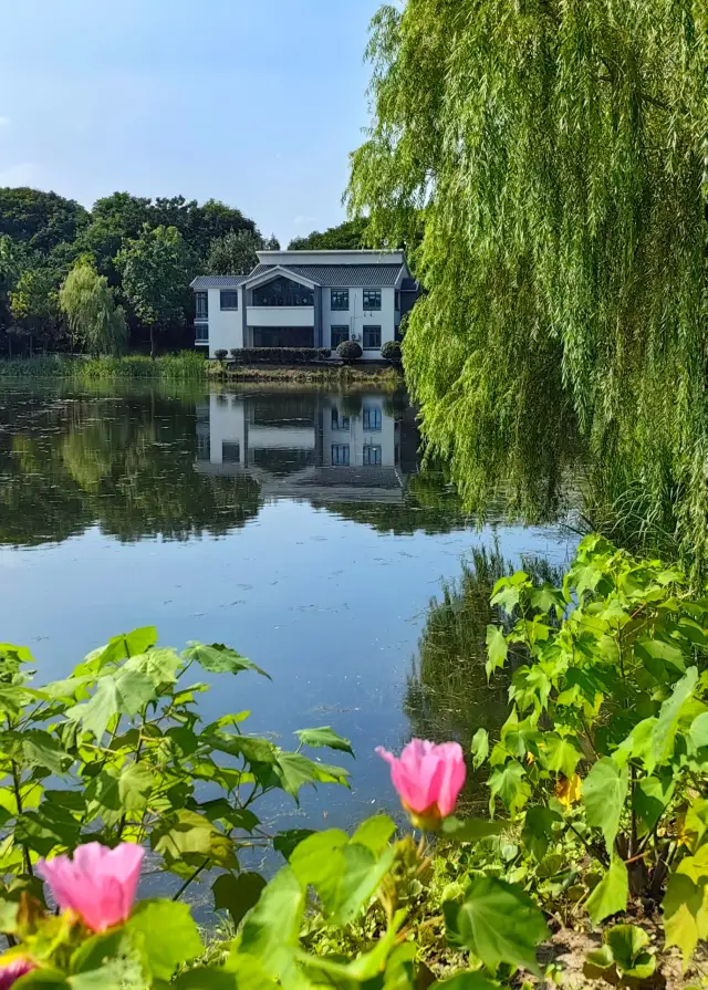 Urban Wild Park: Jinhai Wetland Park