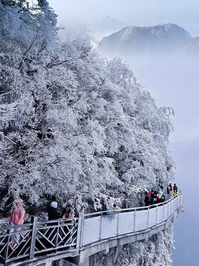 走進天下第一山門 | 人間仙境張家界