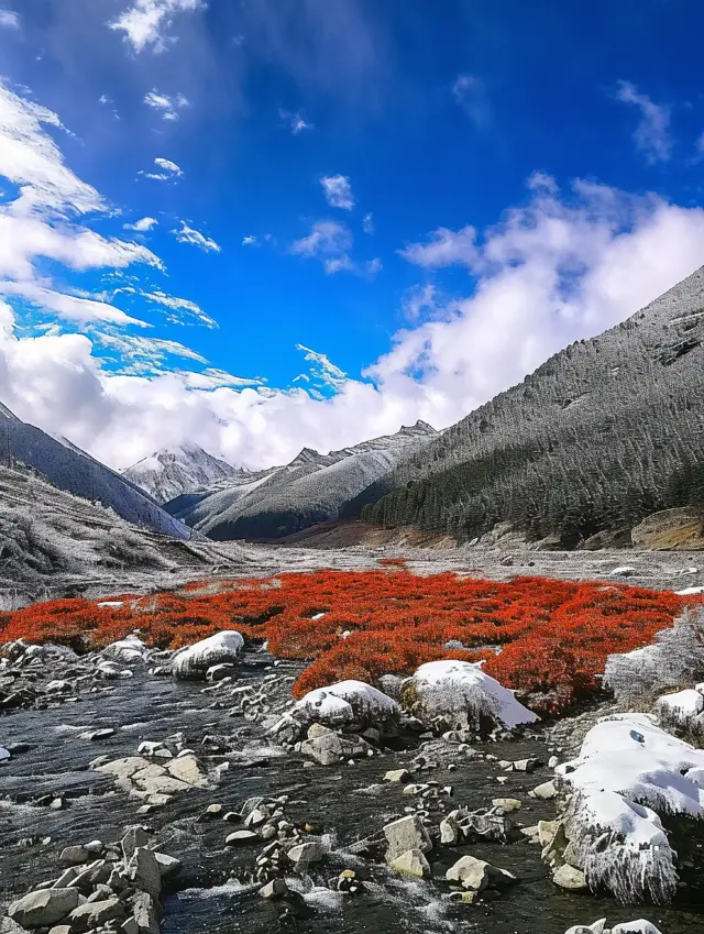 A must-go in winter! The spectacular Hailuogou Glacier, breathtakingly beautiful