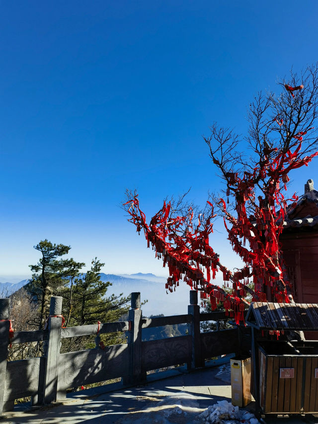 洛陽白雲山·森林冰雪奇遇季快樂加載100%