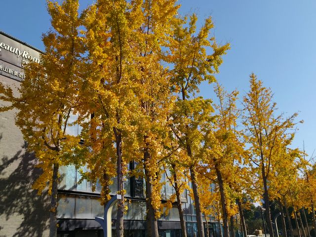 周末愉快暢遊錢塘江風景