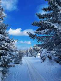 長白山 | 雪嶺南方小土豆來看冰雪世界！