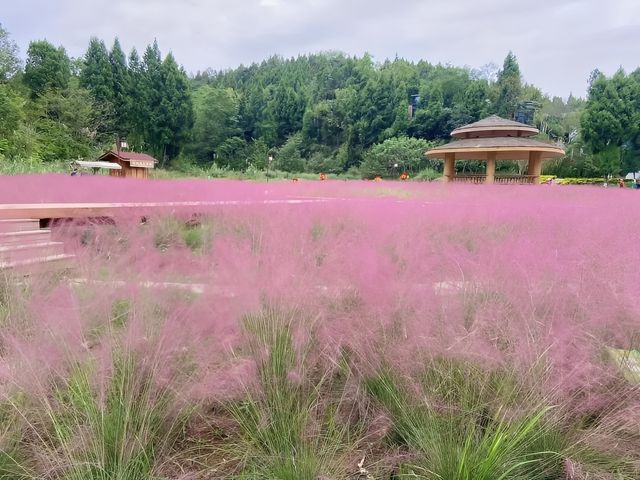 秋風入畫，秋景入詩，花溪谷美成秋日童話