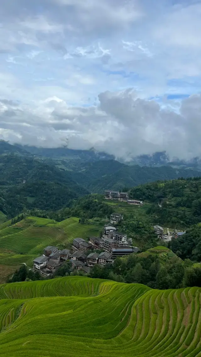 桂林|1天1夜去龍脊梯田只看這篇保姆級攻略夠了!