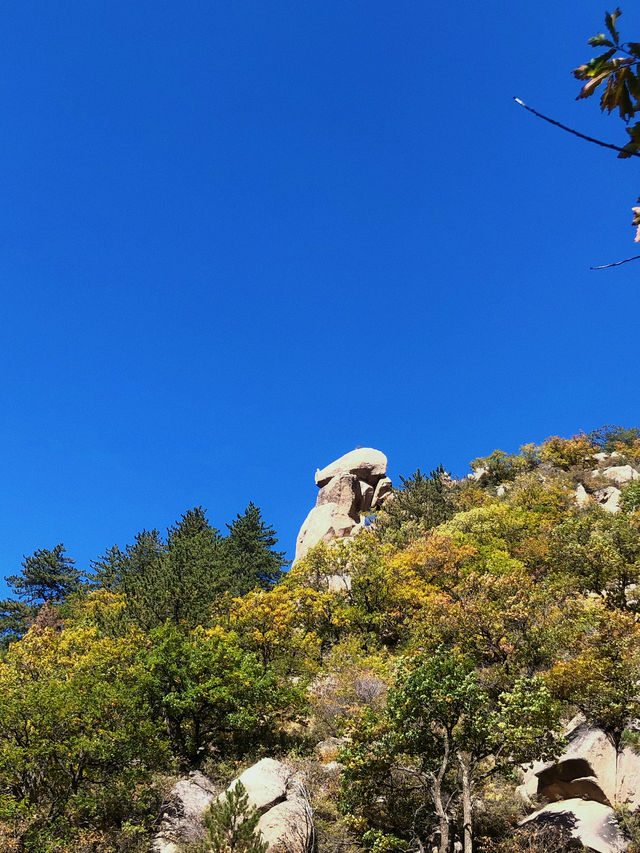 內蒙十一出遊｜馬鞍山國家森林公園