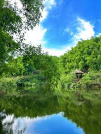 你想看什麼樣的風景，我們一起來感受大自然吧！