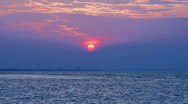 小眾的島嶼，人少景美，在上海免費看大海