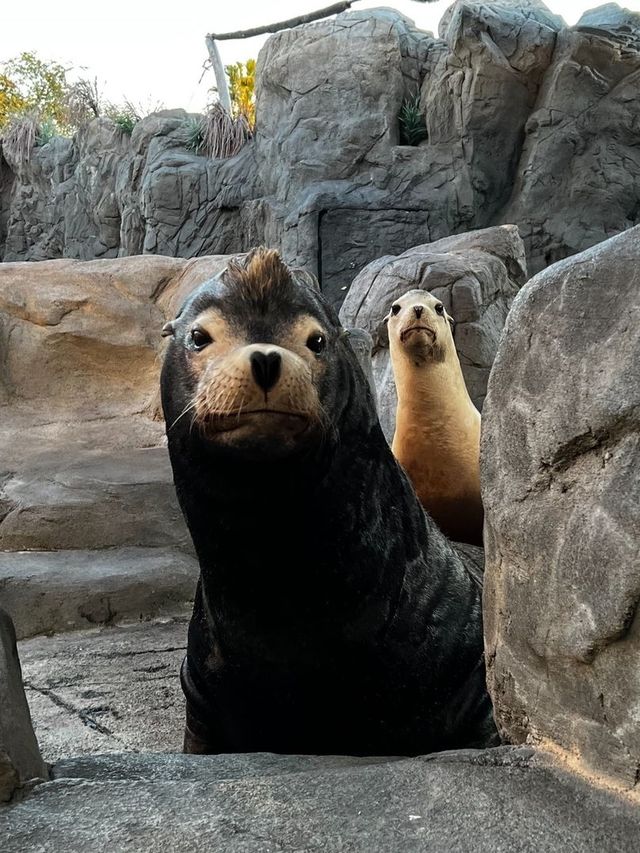 太平洋水族館 |  超治癒的海底世界