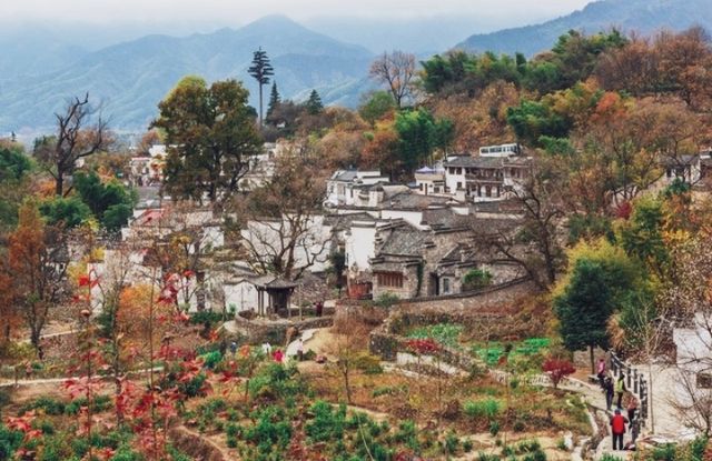 塔川初冬：秋色已逝，但寧靜與美麗依舊