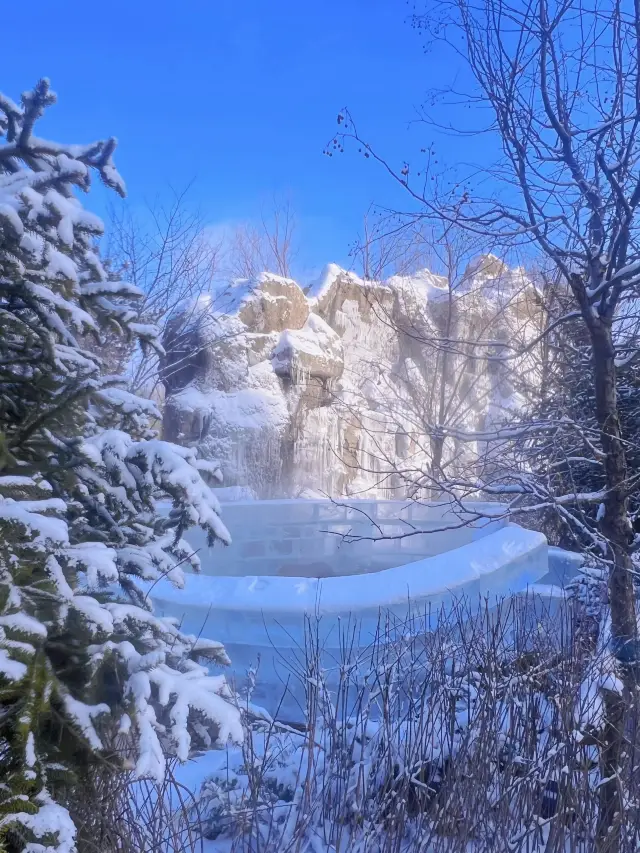 冬に東北に来て、この温泉に入るのは最高です