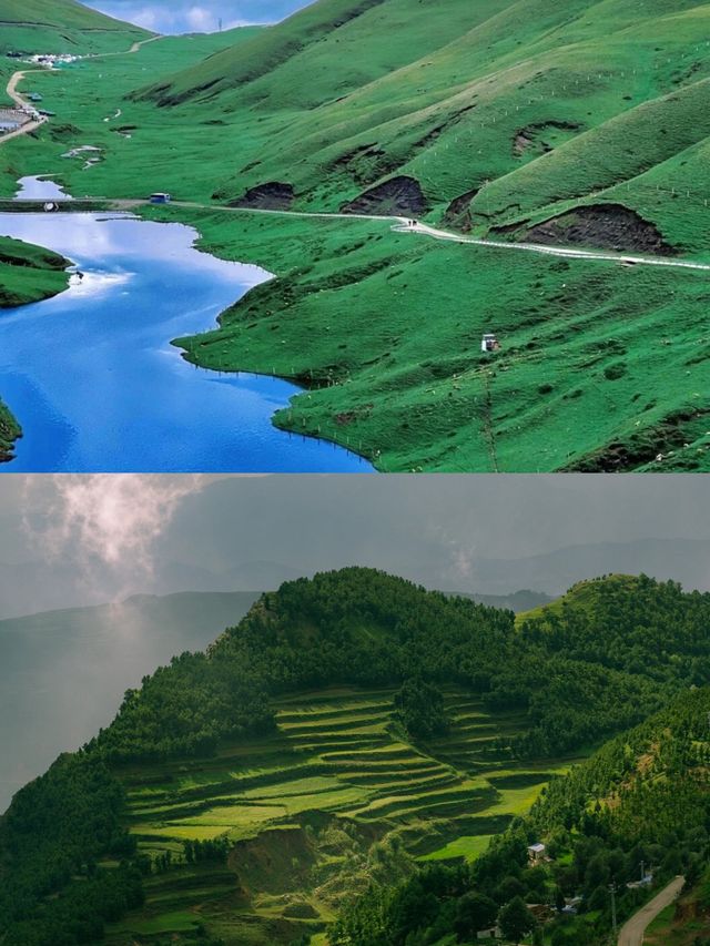 宮崎駿同款草地——大海草山