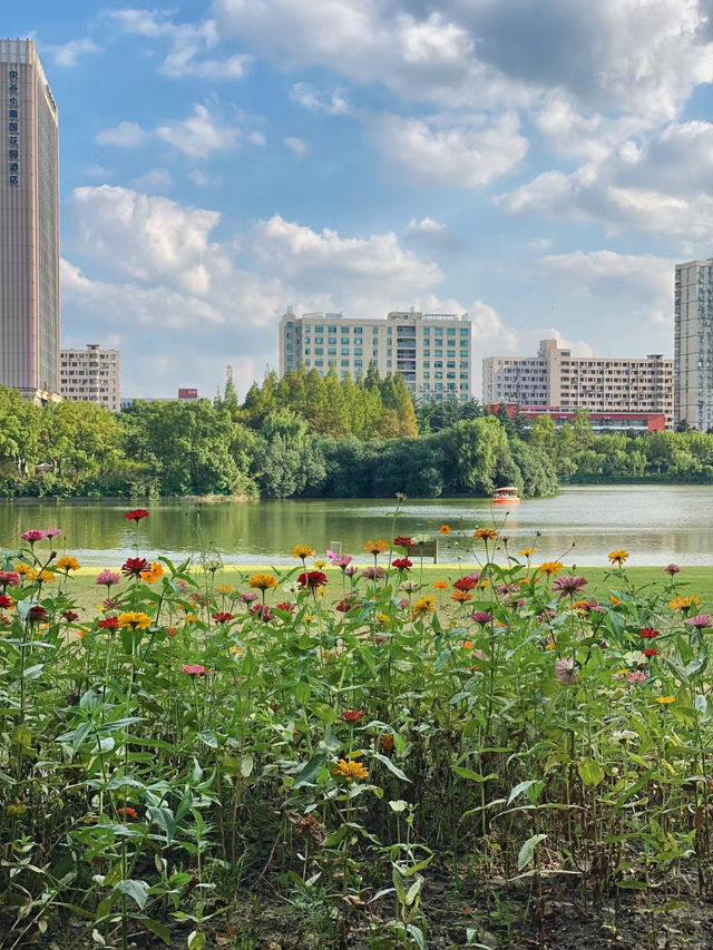 冬季戶外·自由之光·黃興公園