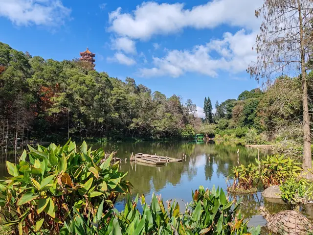 都市のエメラルド - 深セン仙湖植物園