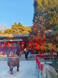 不是雍和宮去不起，而是向陽寺更有性價比！附攻略