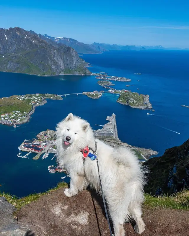 😝🫶 Unleashing the Adventure! Epic Hiking in Reinebringen, Norway 🏔️🌲