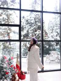 冬日的快樂怎麼能少得了看雪