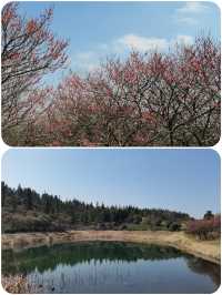 春遊記 沉醉在這一池碧水藍天中