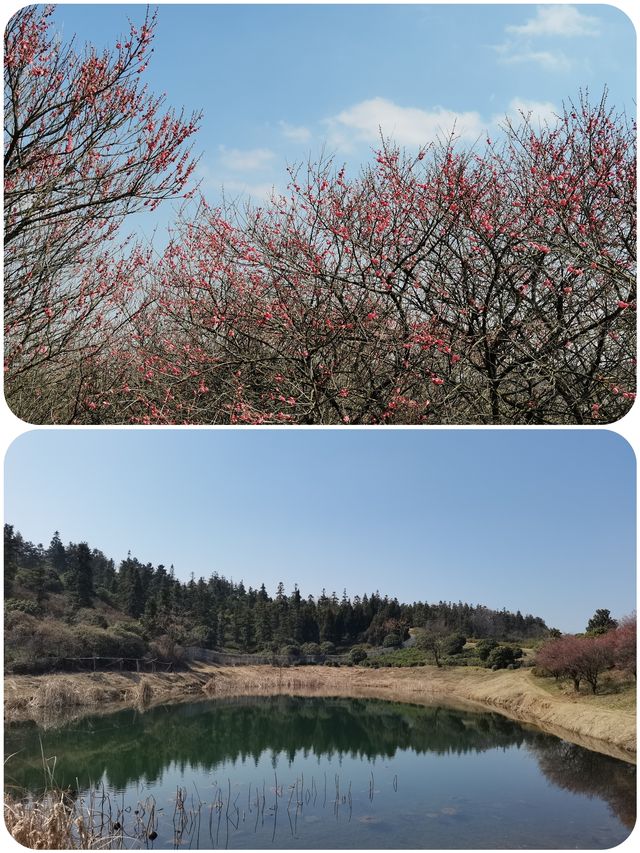 春遊記 沉醉在這一池碧水藍天中