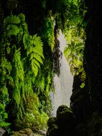 貴州旅遊｜關於黃果樹瀑布的遊覽路線