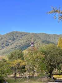 浙江寧波天童寺｜山間走禪，見性見佛