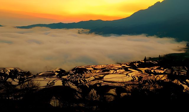 早春滇東南 溢彩天地間（七）：多依樹梯田