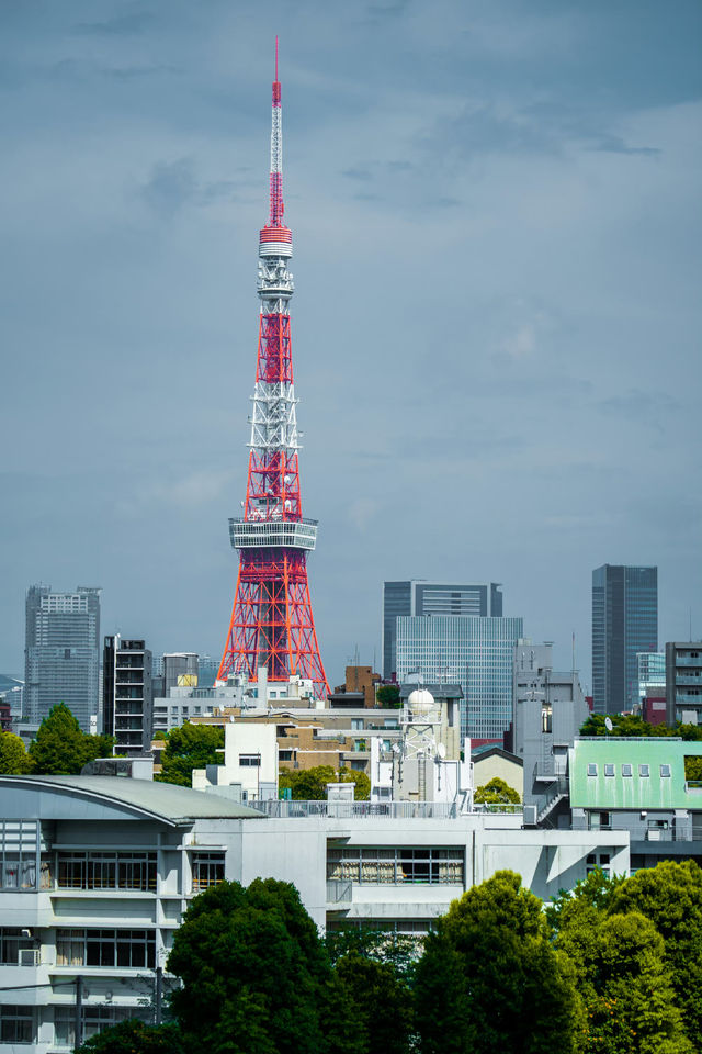 東京鐵塔拍照機位攻略｜玩轉日本旅行