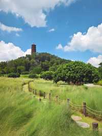 紅花山公園的遊玩攻略