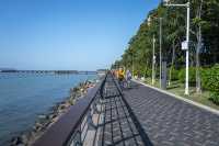 深圳灣公園:深圳騎行最佳線路