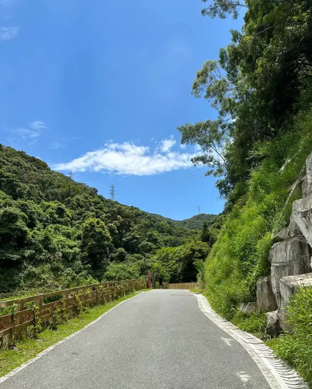 Let me tell you quietly! This mountain has so much to offer that you'll be out if you don't visit soon