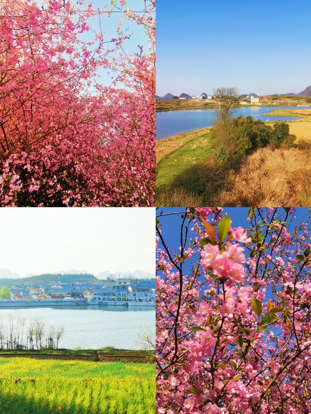 貴州美景多，景點免門票|清鎮平壩兩日遊攻略