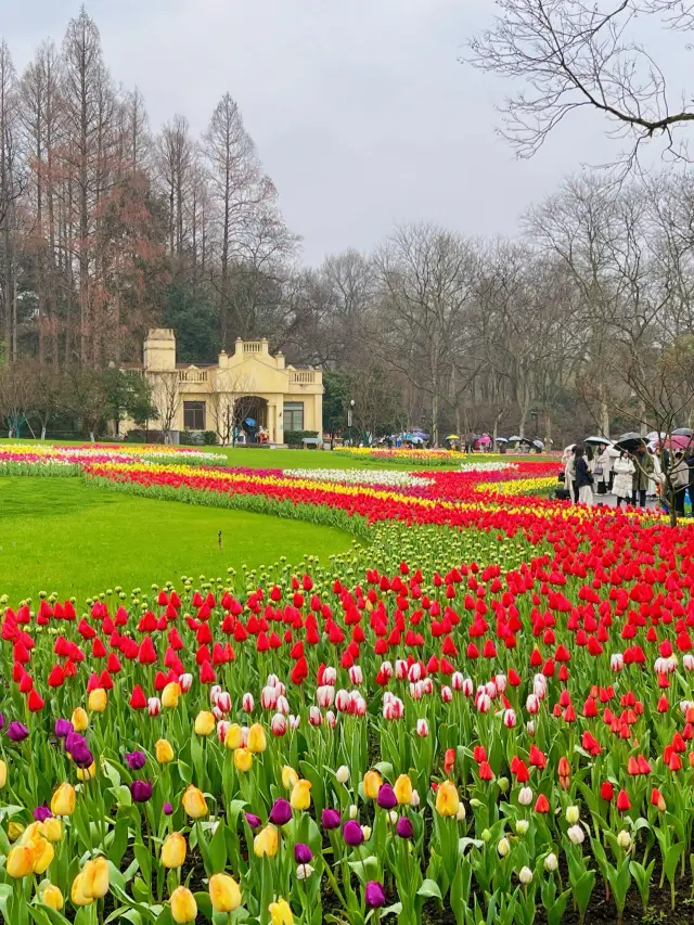 Two-day Hangzhou Travel Guide