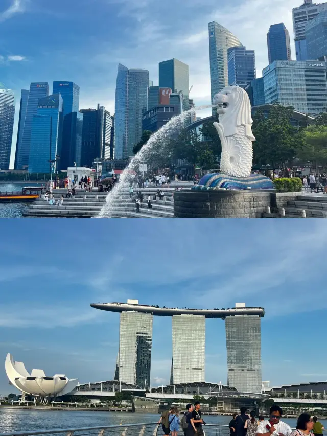 누가 싱가포르의 깨끗함을 알아?