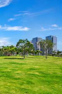 地鐵直達的海邊大草坪前海演藝公園攻略