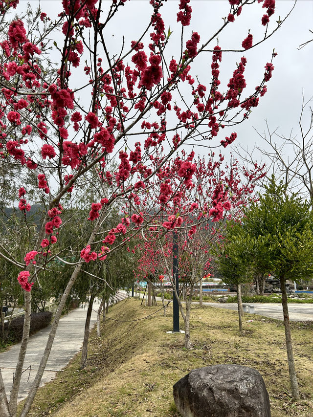 廣東鴻圖嶂風景旅遊區