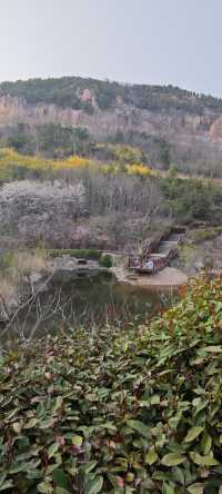 浮山公園越來越美咯