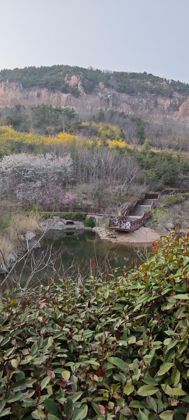 浮山公園越來越美咯
