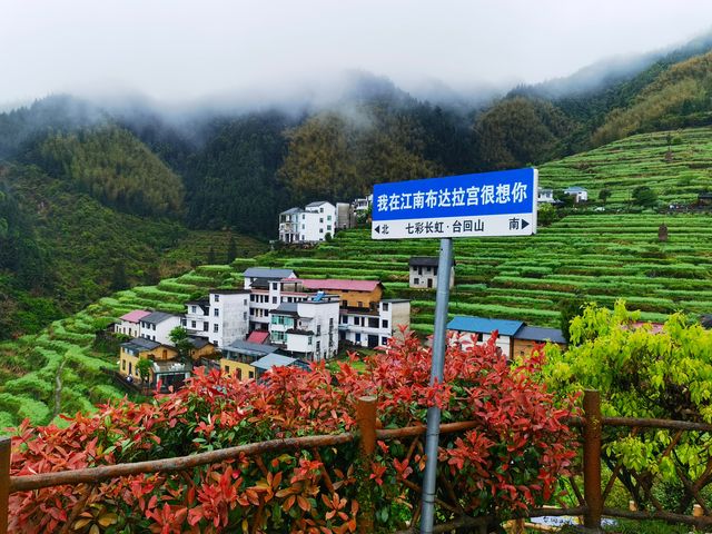 雲霧飄渺 仙氣十足 最美憶宿民宿