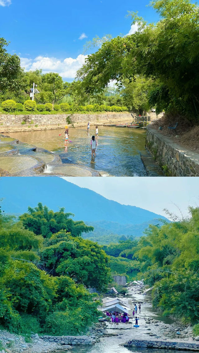 距離深圳1小時~人均19!!近距離餵動物玩水~親子遊玩