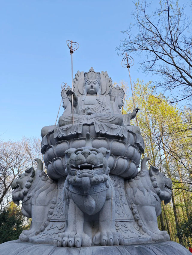 安徽合肥推薦打卡地紫蓬山國家森林公園