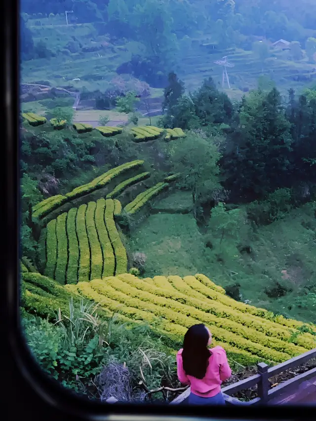 Cloud Sea Terraces!! Take the cable car to enjoy coffee among the clouds