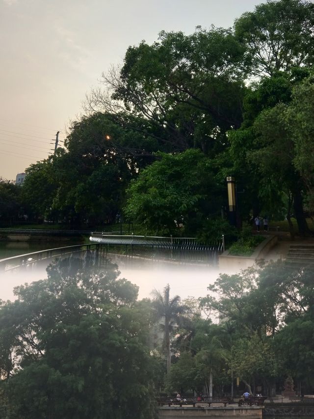 徐聞人民公園最全攻略 徐聞人民公園最全攻略