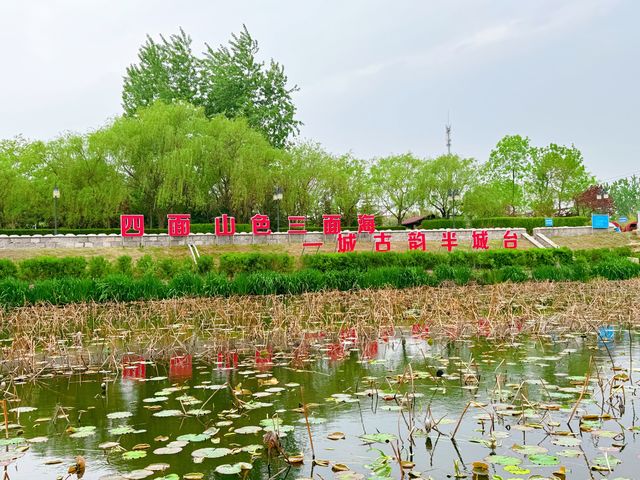 皂戶河公園：夏日清涼綠洲，一遊盡享自然魅力！