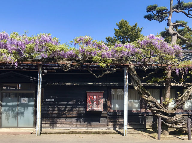 ＃網紅景點 - 山居倉庫