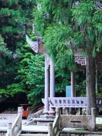 誰懂五月苍南玉苍山美到窒息，仿若仙境