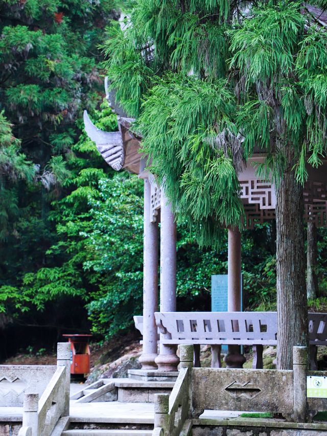 誰懂五月苍南玉苍山美到窒息，仿若仙境
