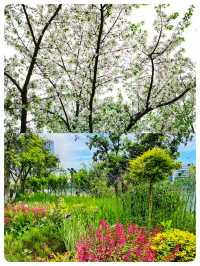 長沙｜週末遛娃露營的好去處｜梅溪湖公園