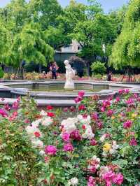 多巴胺滿滿的夏日，去復興公園看玫瑰園