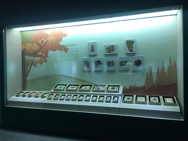 臨朐縣博物館