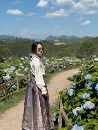 泰順最新自駕網紅打卡地、筱村公社最值票價的人像拍照景點