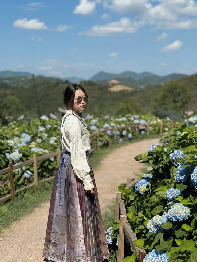 泰順最新自駕網紅打卡地、筱村公社最值票價的人像拍照景點